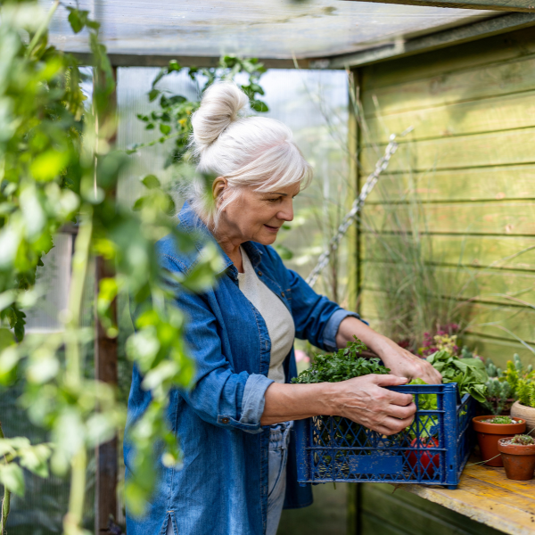 Schuldgefühle bei Krebs und subjektiven Krankheitstheorien