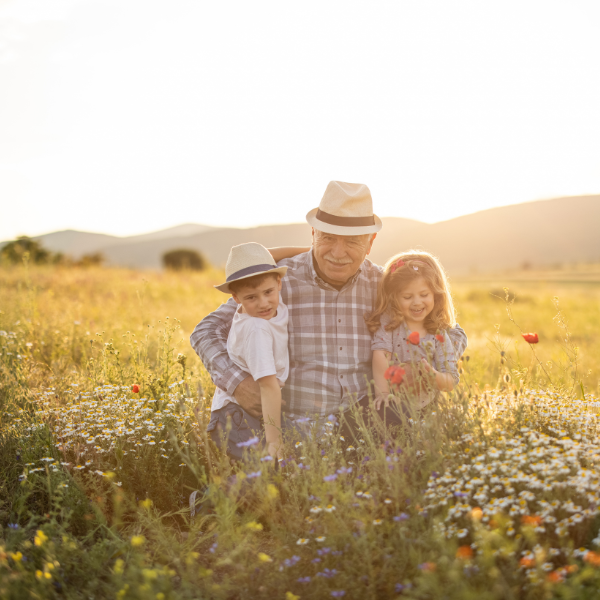Krebsforschung für neue Krebsmedikamente