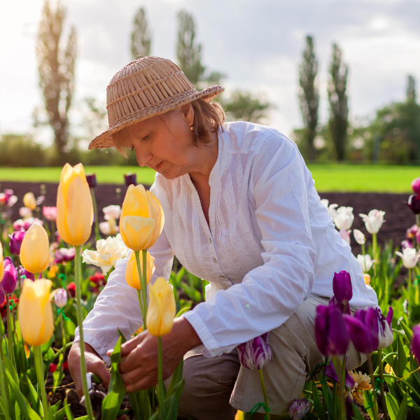 Krebs der Niere Nierenzellkrebs