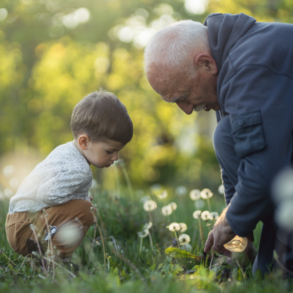 Aderhautmelanom Auge Krebs Behandlung