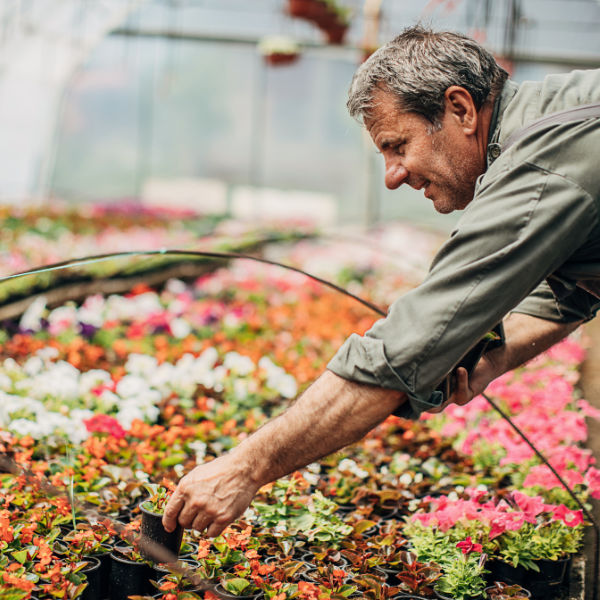Pankreaskarzinom Bauchspeicheldrüsenkrebs Behandlung