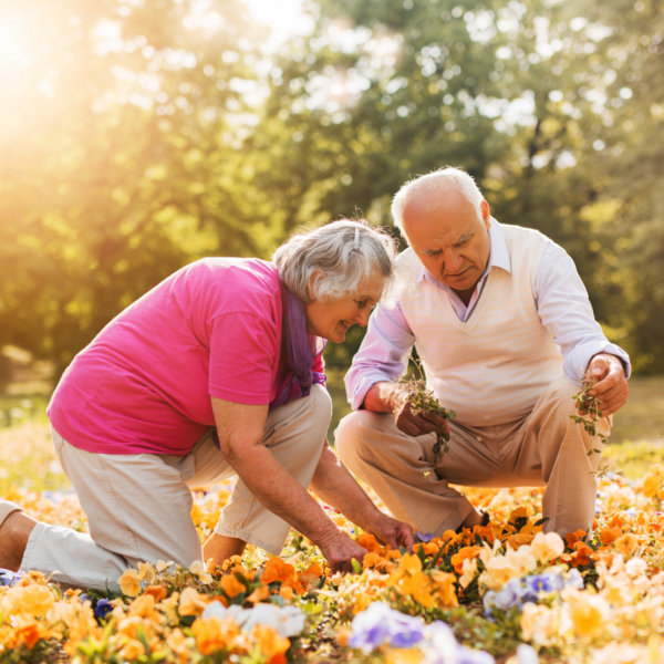 Älteres Paar am Blumen pflücken