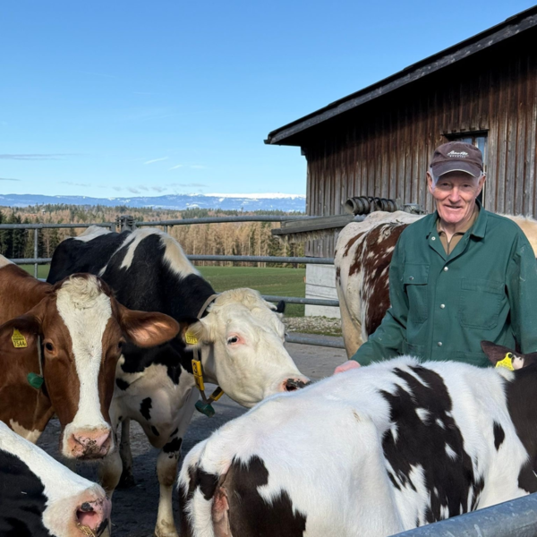 Ernst schaut auch heute noch zu seinen Kühen trotz Nierenzellkrebs