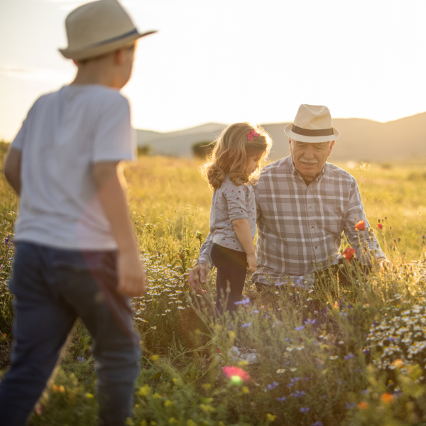 Forschung bei Krebs für neue Krebsmdeikamente