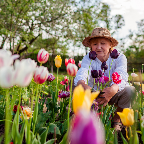 Nierenzellkrebs und Krebs der Niere