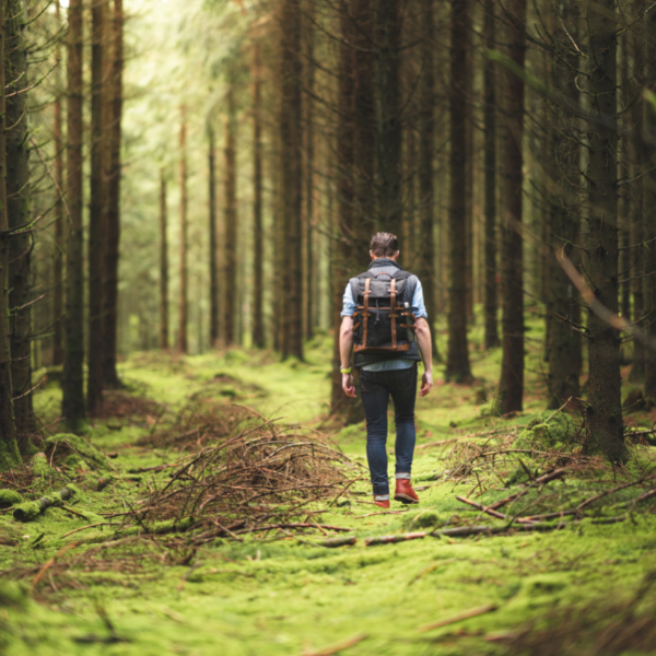Zielgerichtete Therapie bei Lungenkrebs: Ein Mann spaziert im Wald