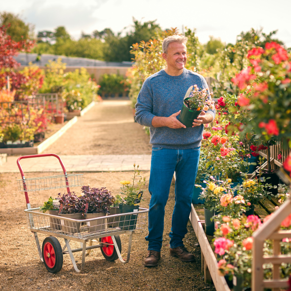 Magenkrebs Damkrebs Begriffe